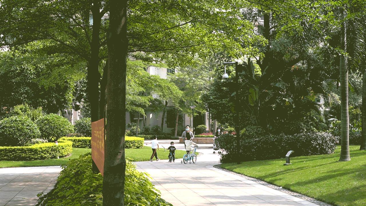 服务业的税率一般是多少,服务业税率现在是多少