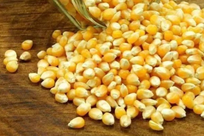 钓鳊鱼的最好方法和技巧,钓鳊鱼的最佳时间和方法