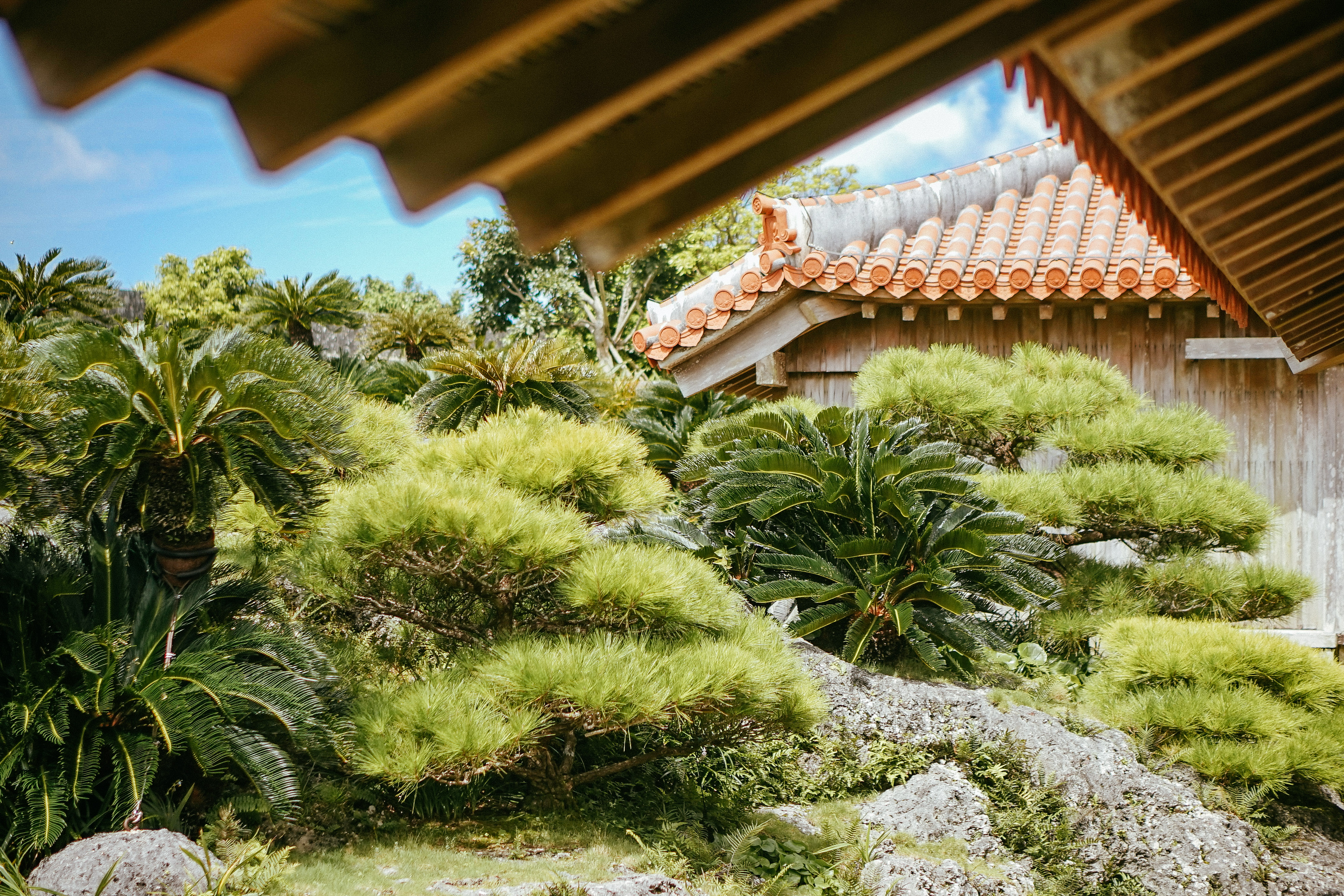 冲绳那霸必买的东西,冲绳那霸旅游购物攻略