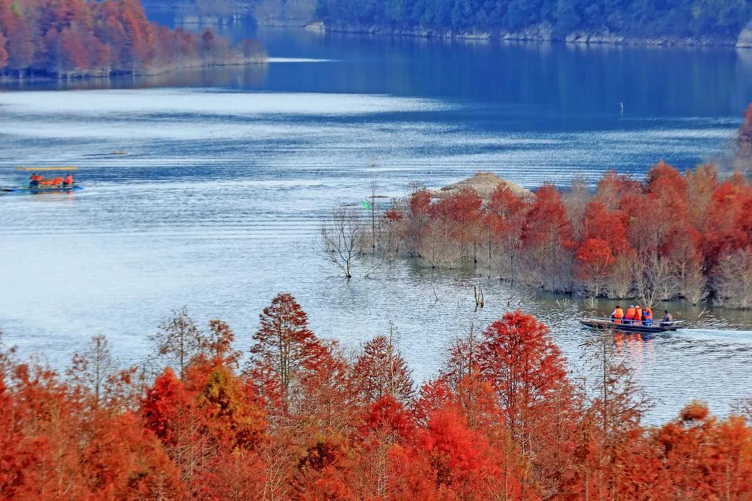 秋天的杭州自驾游,杭州秋冬自驾