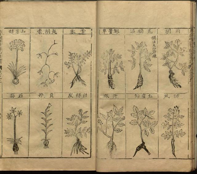 李时珍与本草纲目ppt课件,神农本草经正版李时珍书籍