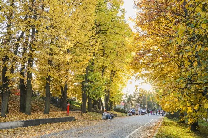 游记｜波兰—你所不知道的童话国度