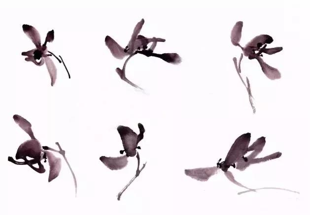 国画兰花绘画图,简单国画兰花画法教程