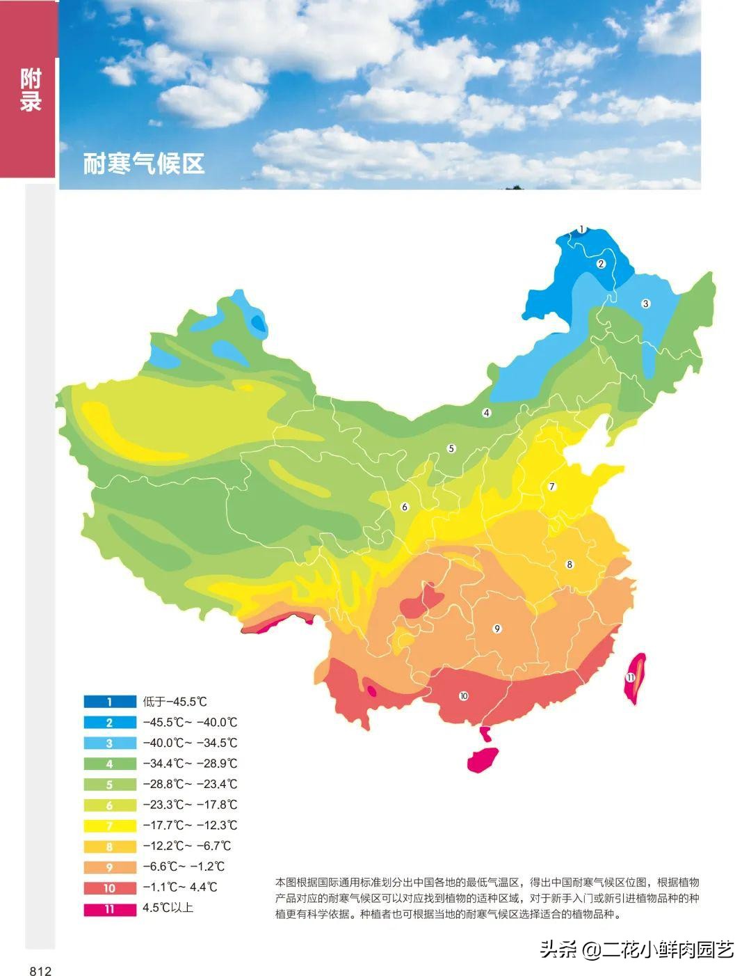鍥壓鑺卞崏绉嶆鐭ヨ瘑鍏ラ棬,鑺卞崏鍥壓濡備綍鍏ラ棬
