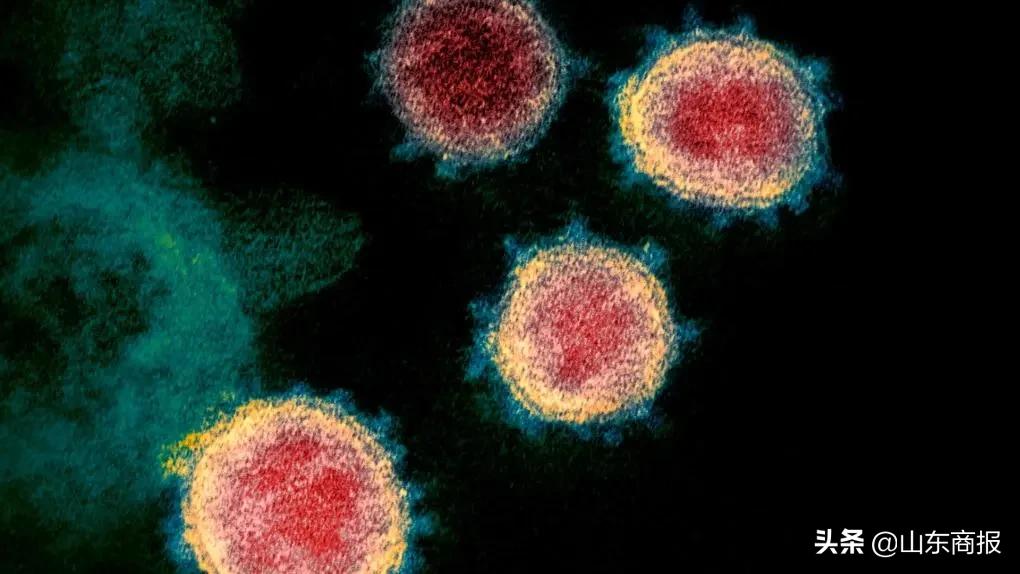 新冠病毒首次发现完整的基因,新冠病毒会存在精子里吗