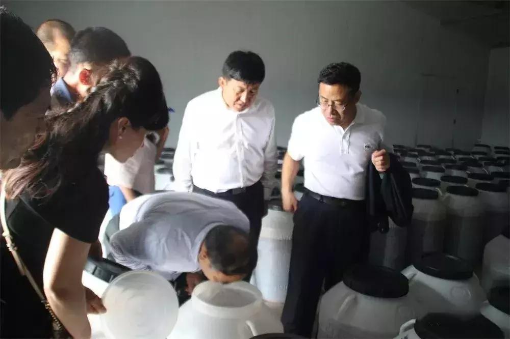 如何使红枣变得又大又红,延川红枣