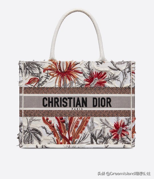 dior新款刺绣帆布托特包,刺绣马鞍包dior2019