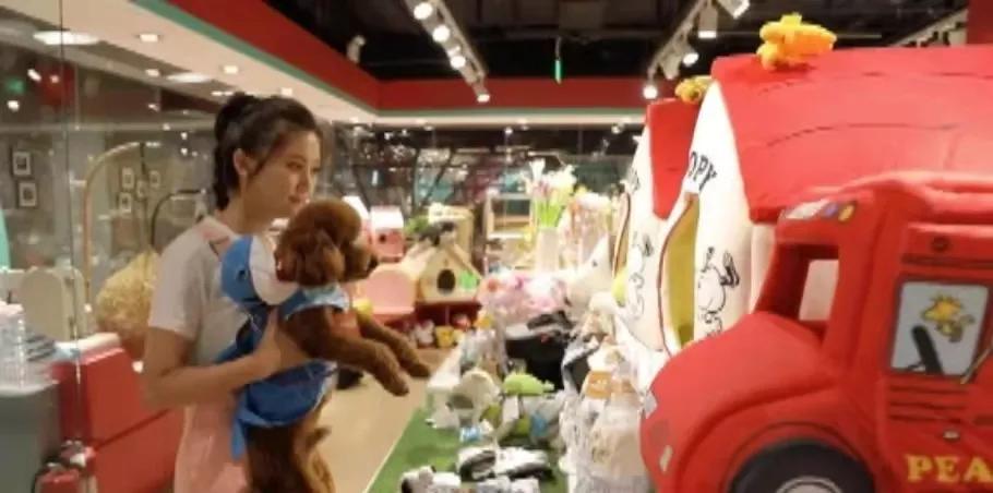 宠物生活馆盘点,北京人气宠物乐园推荐