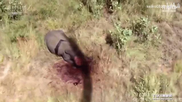 15岁怀孕的她，被骗吃下*药炸**，无辜去世：生而为人，有些人却不配