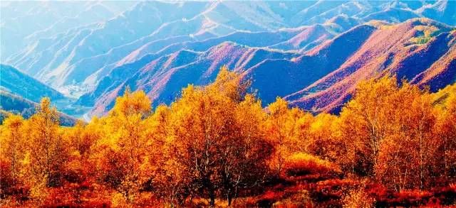 坝上风情坝上人,坝上哪最适合露营