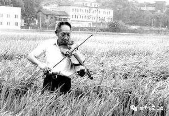 悼念袁隆平院士朗读,袁隆平院士逝世原创诗词