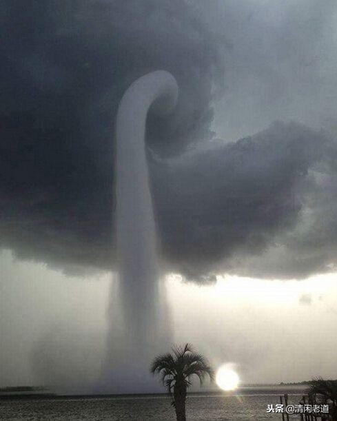 山海经里面记载的八种龙,山海经中有龙的记载在哪