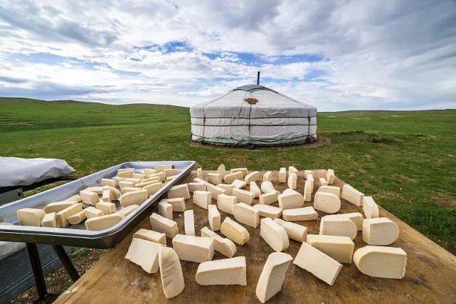 DNA和乳制品不兼容的蒙古人,怎么就成了克服乳糖不耐的关键?