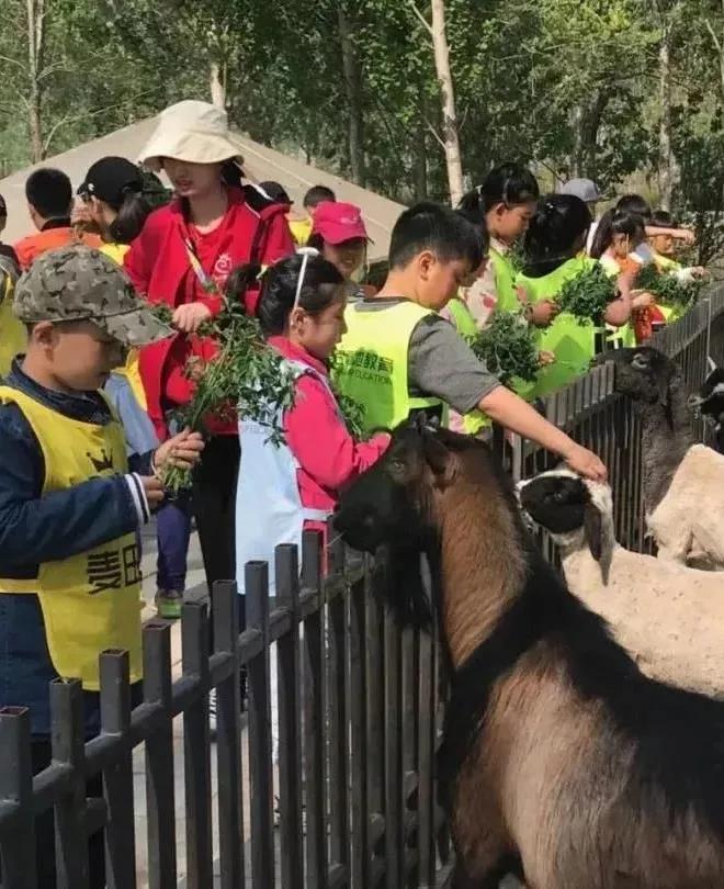 盘锦大洼区旅游攻略,盘锦大洼旅游