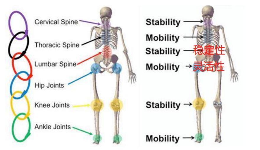 髋发力动作模式,髋骨疼痛的动作怎么练