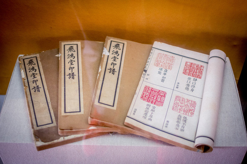 星湖冬日燃情，比落羽杉还要红的是什么？#我和湿地有个约会#