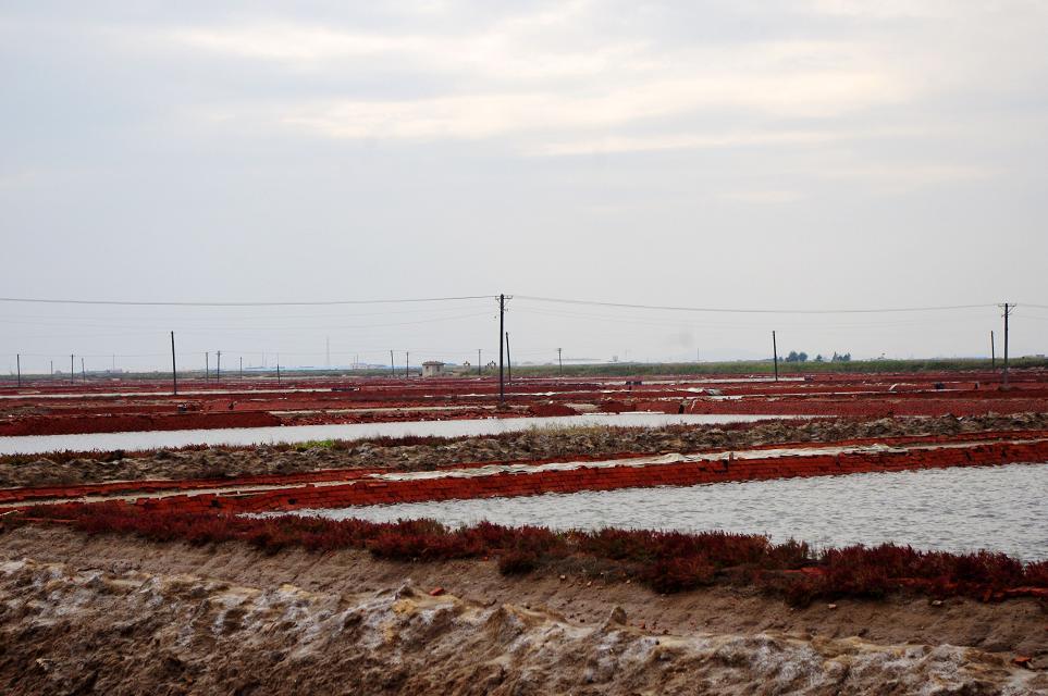 十一沿途风景,十一去红叶谷的景致