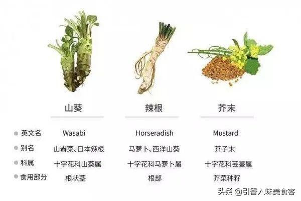 海鲜吃不好容易拉肚子吗,不新鲜的海鲜为什么会引起腹泻