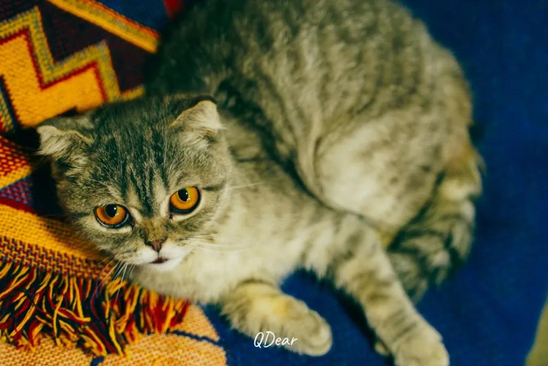 古着首饰青岛 (青岛古着店)