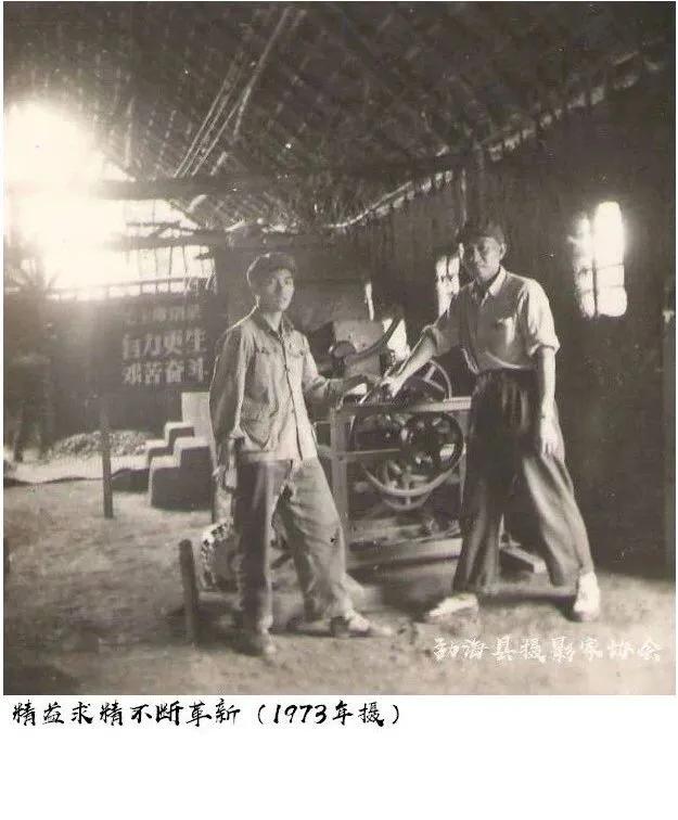 关于云南普洱茶的常识知识,云南普洱茶与其他普洱茶的区别