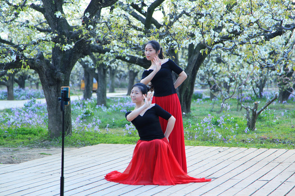 春游江淮请你来滁州版,春游江淮等您来