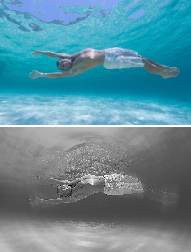 动物世界视力最好的动物,动物界中哪种动物视力最好