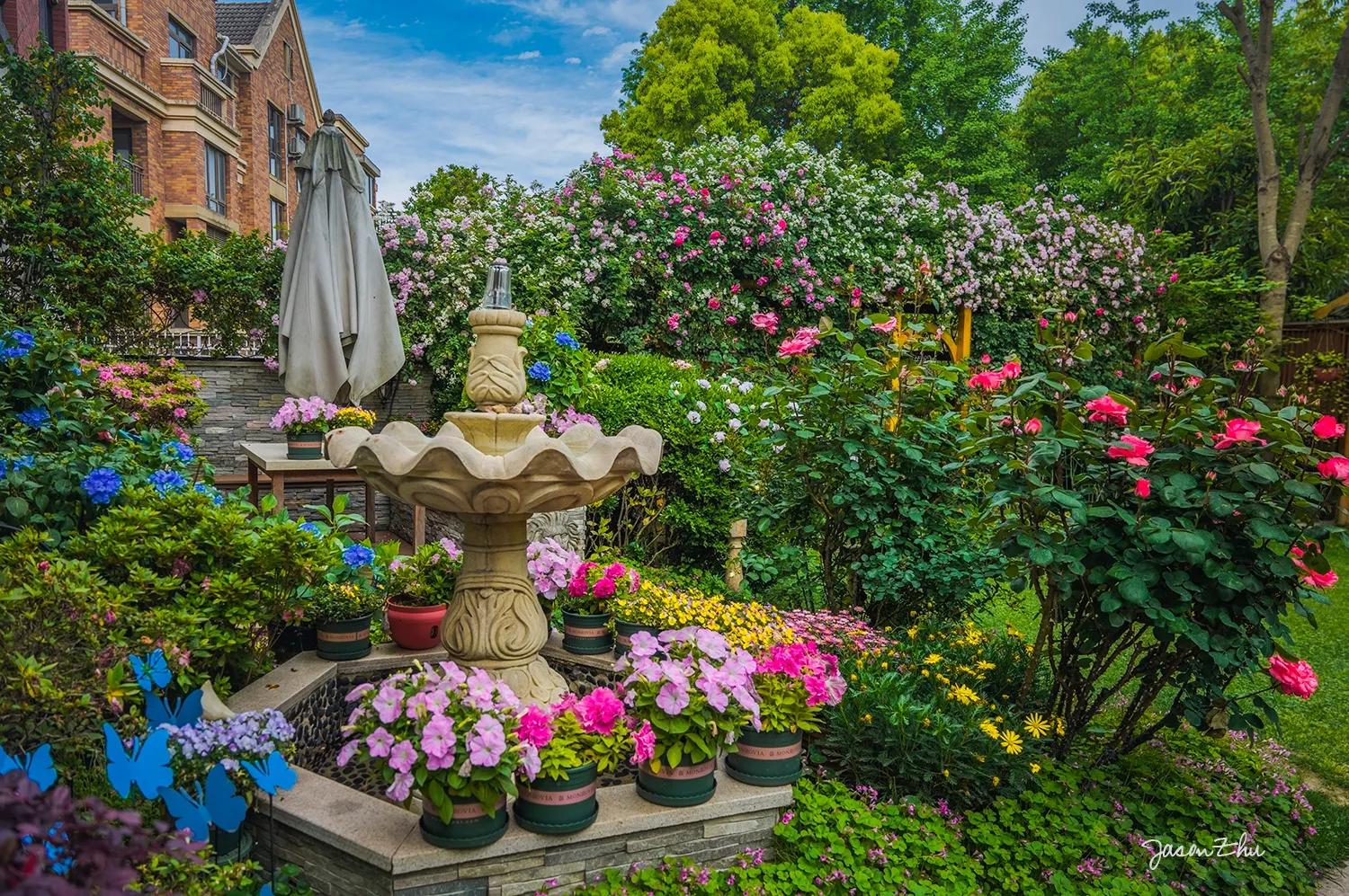 一百五十斤大胖子减肥记,猪猪减肥记录