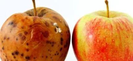 男性健身提升肾能力动作,健身是否能提高能力