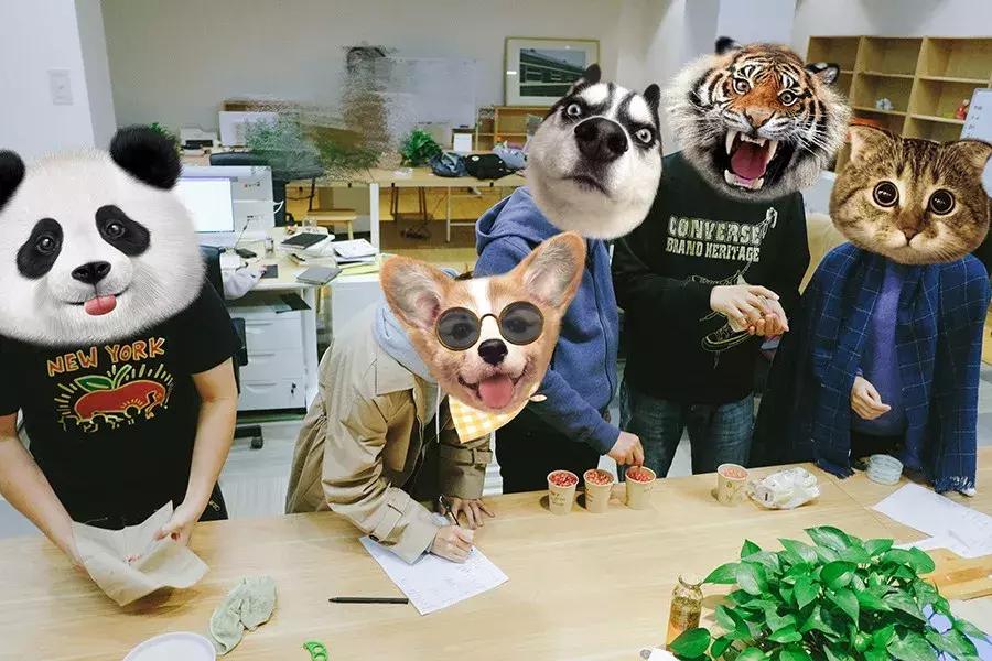 搞完石榴选美大赛，才发现原来你们是这样的石榴｜美观测评