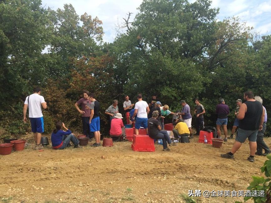 法国葡萄园工人收入,在法国葡萄酒厂打工赚钱吗