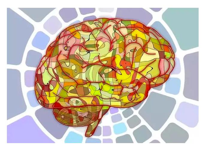 残酷的性别认知试验，这位科学家为了私利，强行将男孩改造成女孩