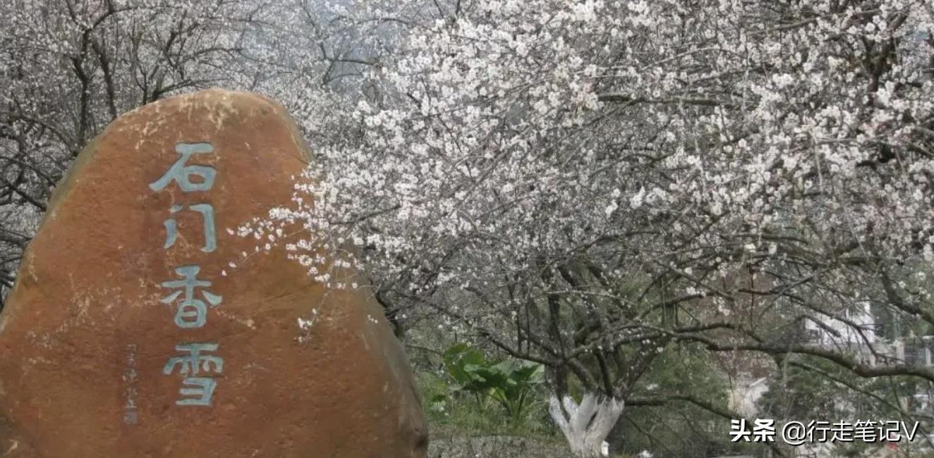 从化温泉野游,广州从化温泉别墅打卡之旅