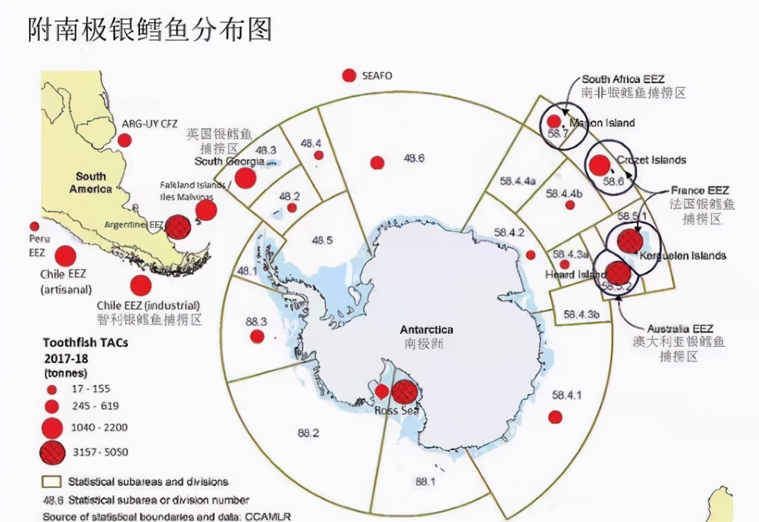 这种鱼不能给孩子多吃,这四种鱼不要给孩子吃