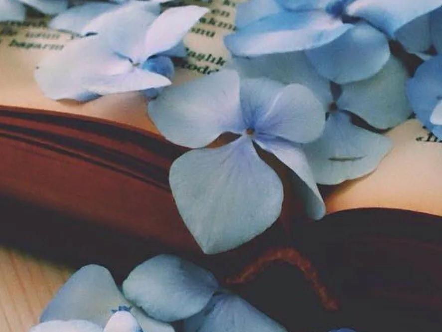 人生在世就是修行修自己,人生在世无非就是一场修行