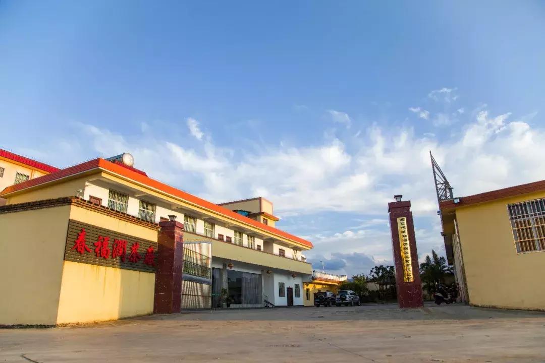 一次性读懂供应链,一次性讲清楚双11策略