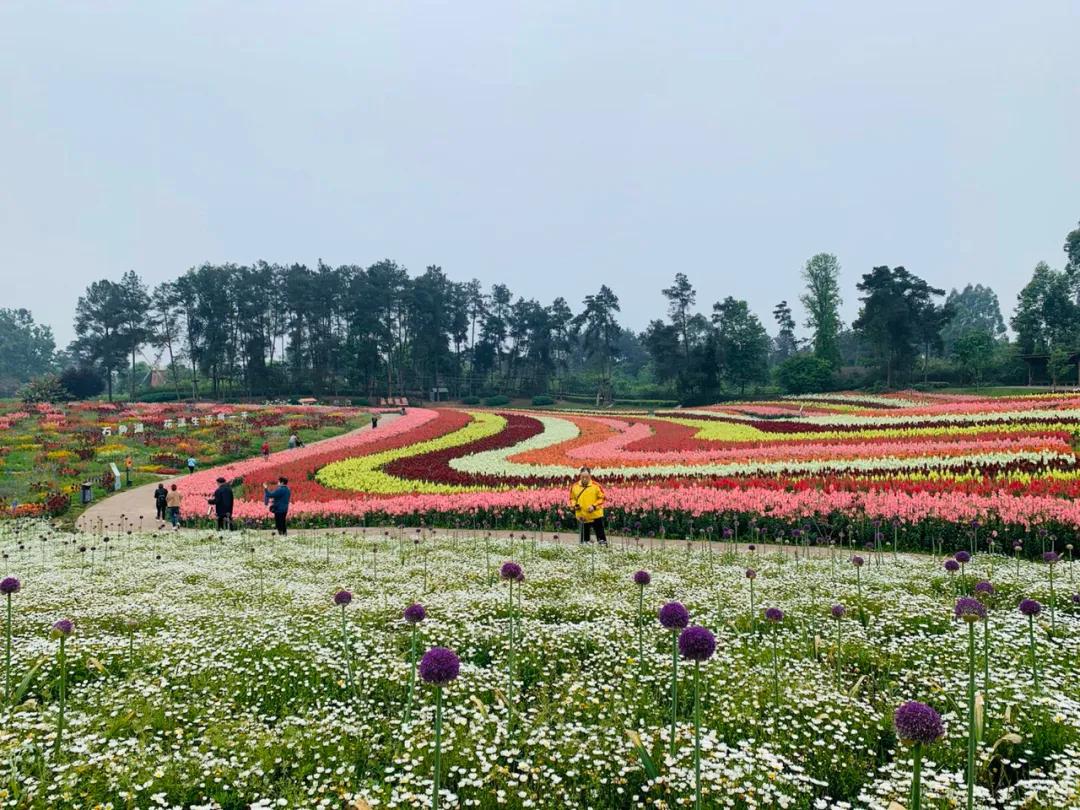 五一花海门票特惠团购,五一花海门票免费送