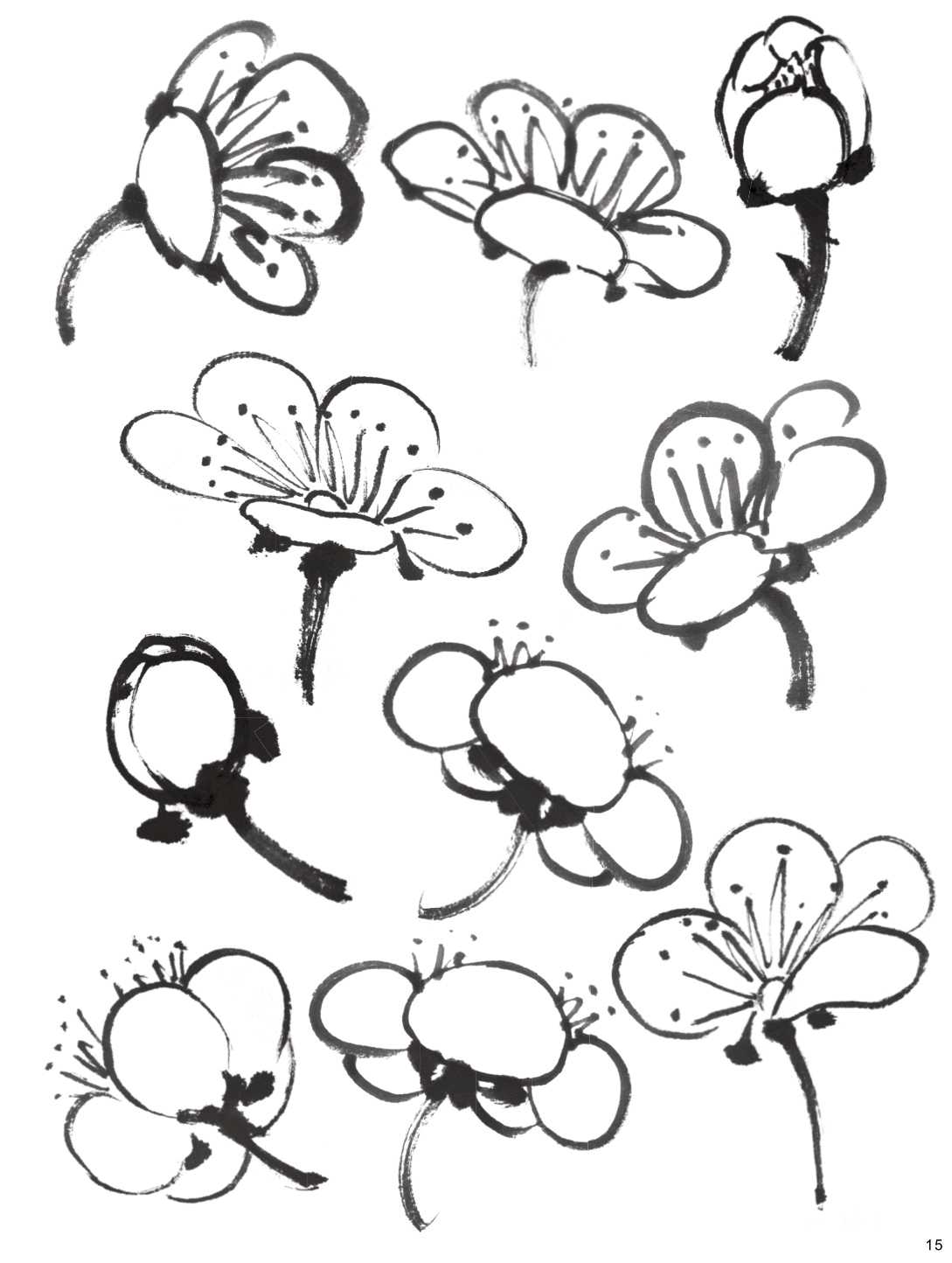 怎么画梅花和梅花树,写意画梅花的画法视频