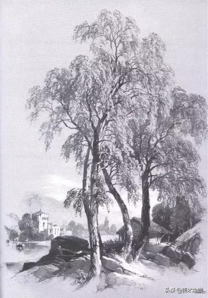 静物素描风景图临摹,简单又好画的彩铅素描风景图