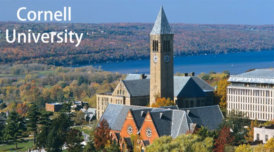 美国大学研究生院计算机专业排名,美国大学本科计算机科学专业介绍