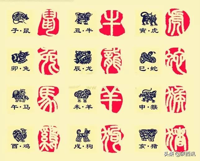 印章知识大全,印章知识大全集