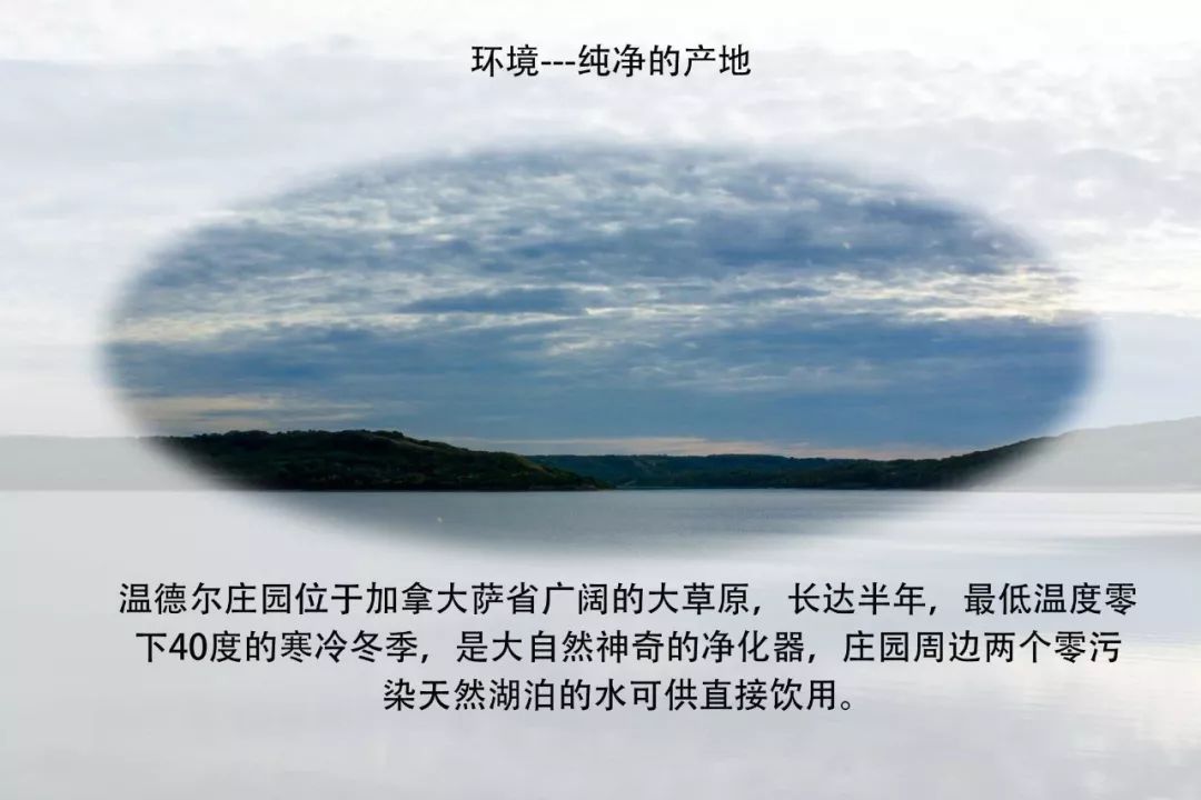 温德尔庄园成熟纯蜂蜜,温德尔庄园白蜜