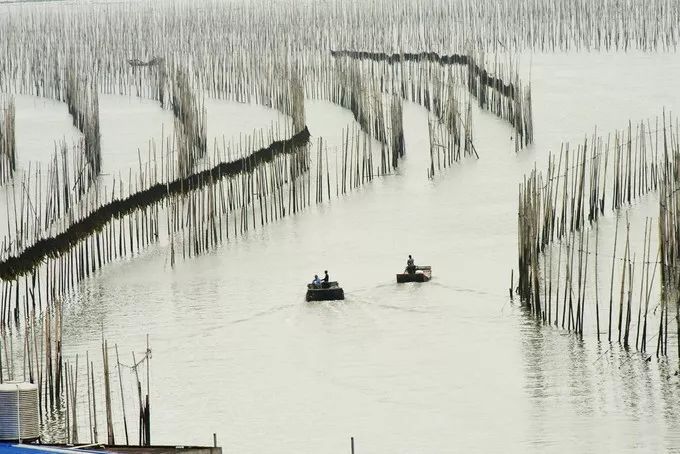 中国最美的海岸线霞浦,霞浦旅游之美