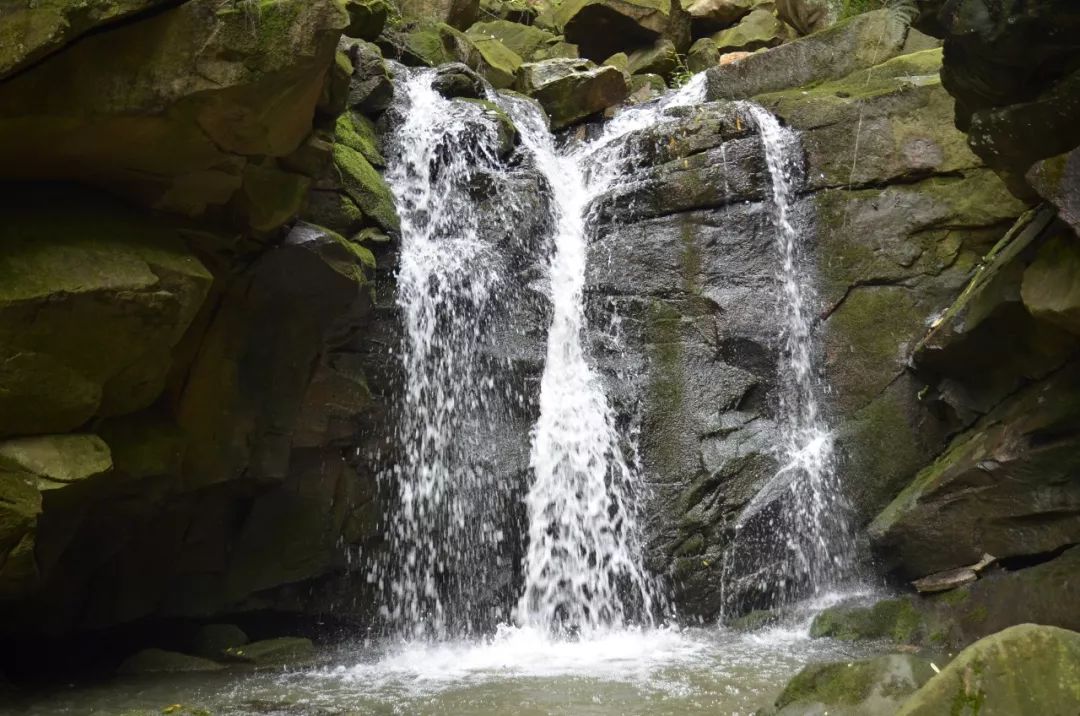 bw滤镜价格,bw滤镜哪里有正品