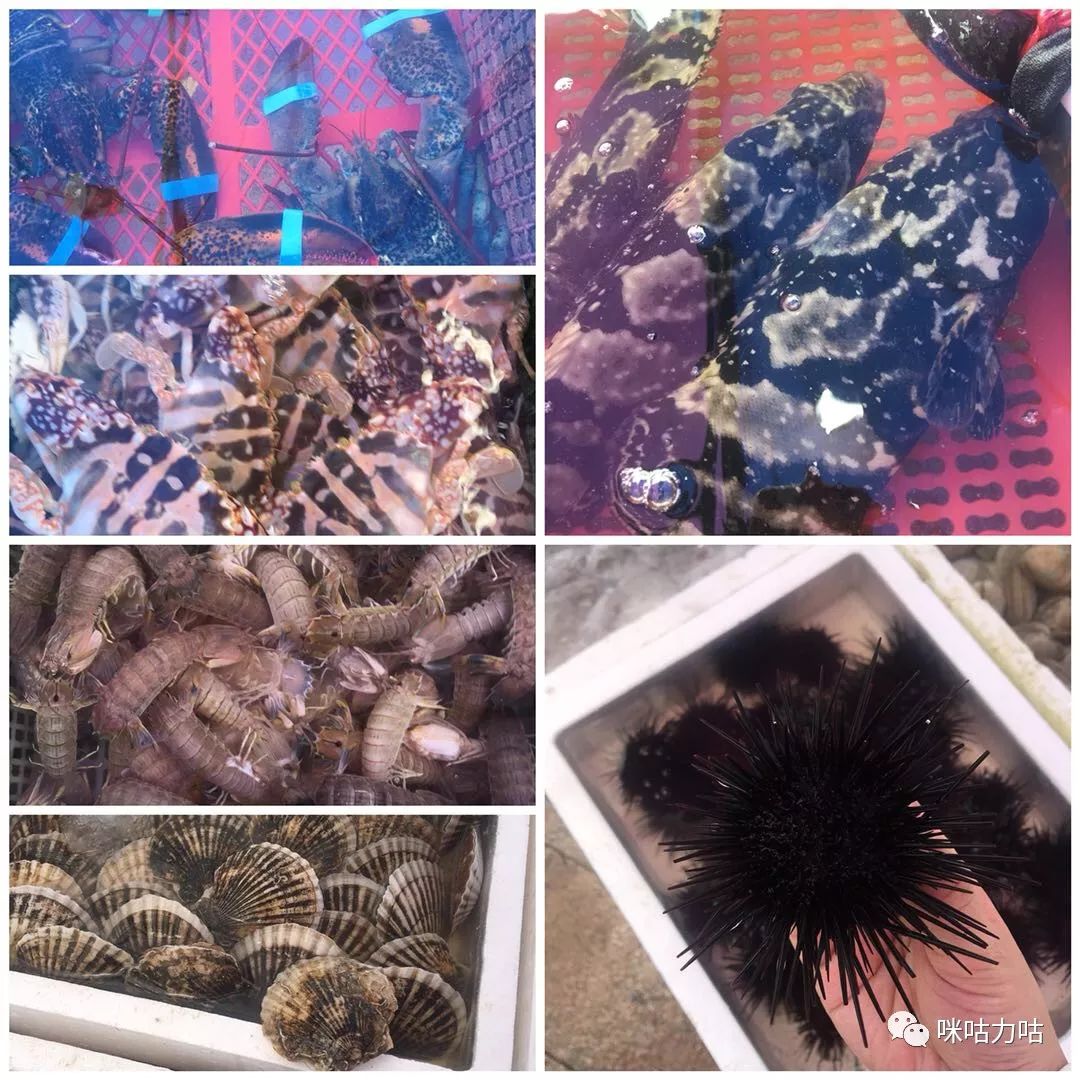 南沙出发外伶仃岛两天一夜攻略,珠海到外伶仃岛旅游攻略