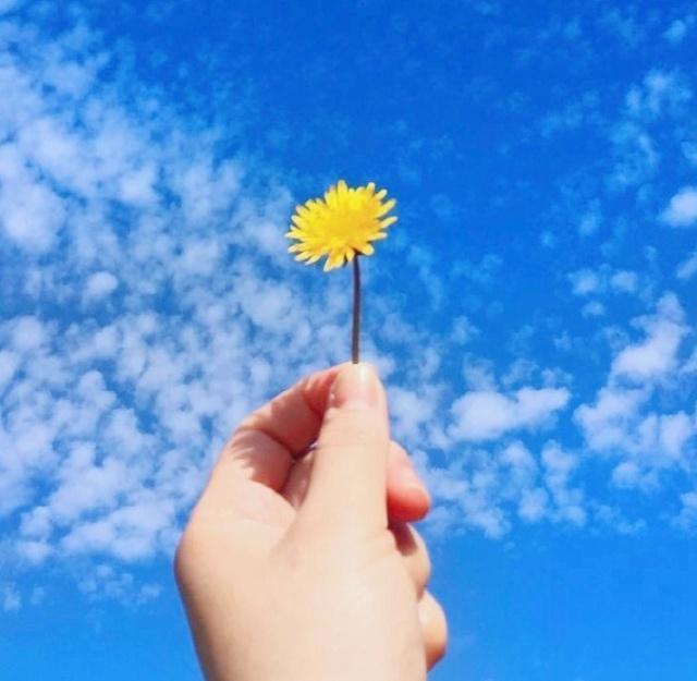 有个性的霸气高冷的短句子,霸气超拽超高冷的句子简短