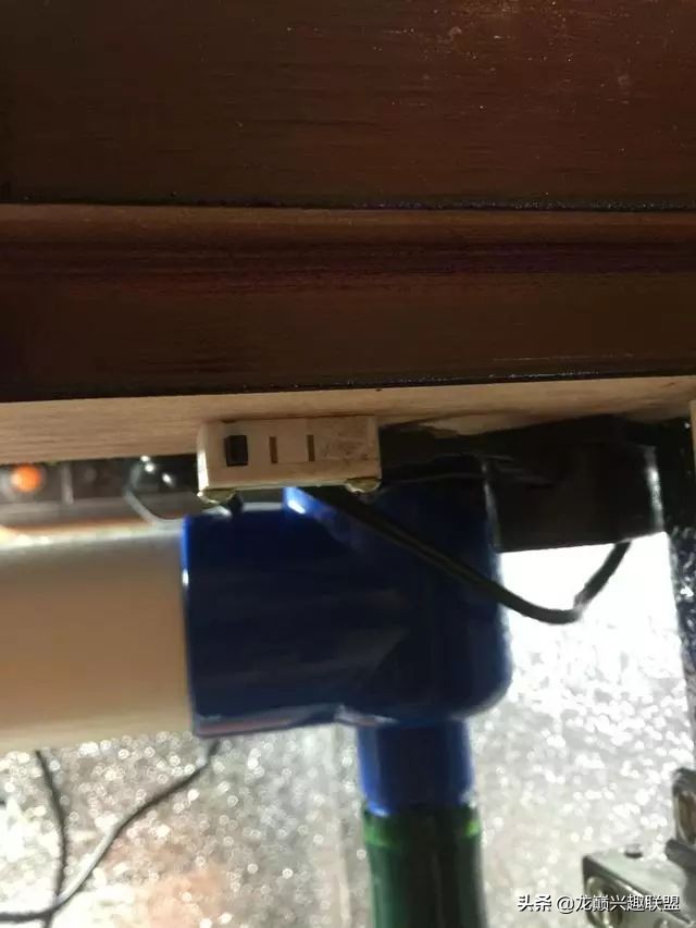 垃圾桶旁边的四方鱼缸，捡回去养了一缸金鱼，别说还挺不错