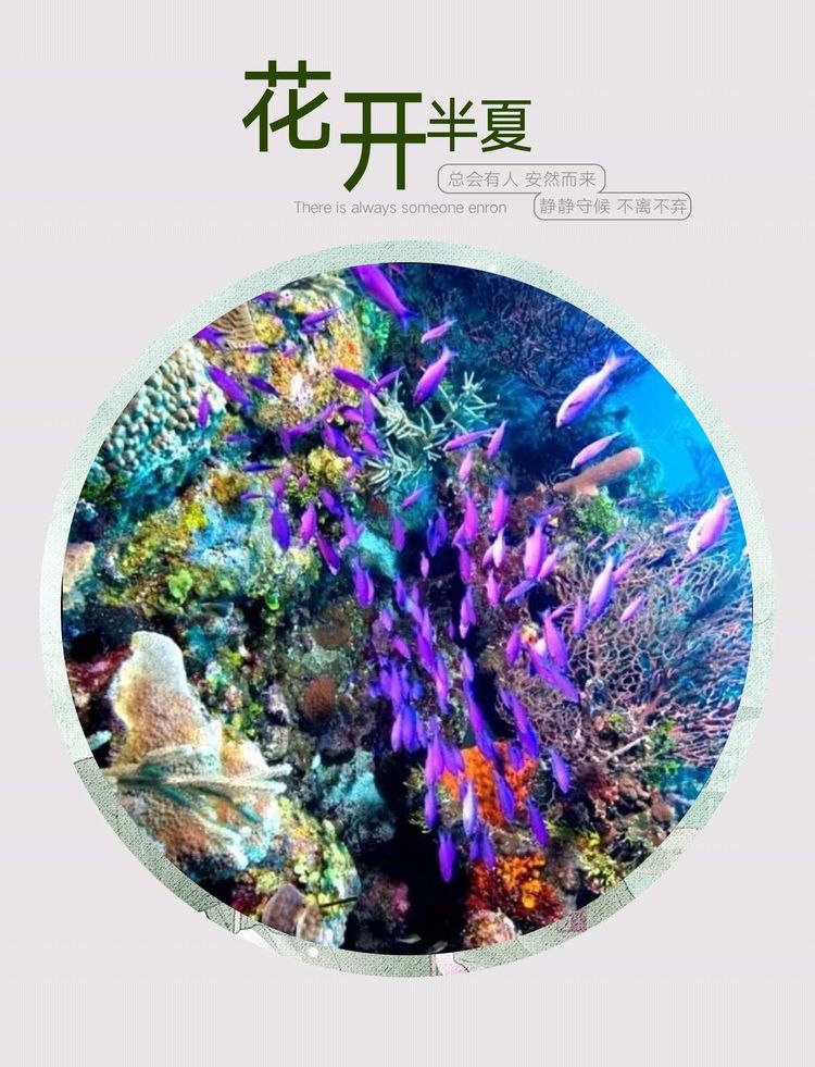 深秋的思念歌曲原唱,深秋的思念散文诗