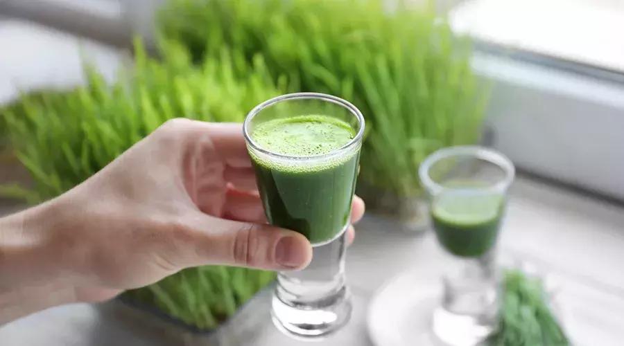 日本青汁骗局,喝青汁是不是骗人的