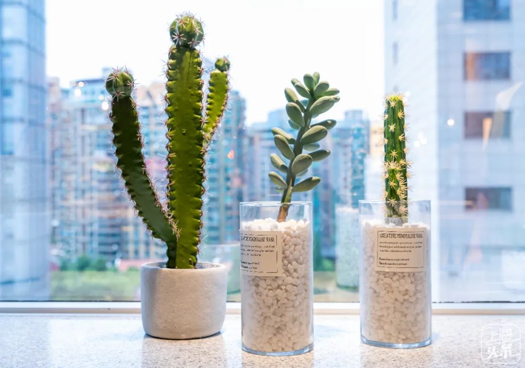 近视眼镜团购上海,近视眼镜团购附近100元两副眼镜