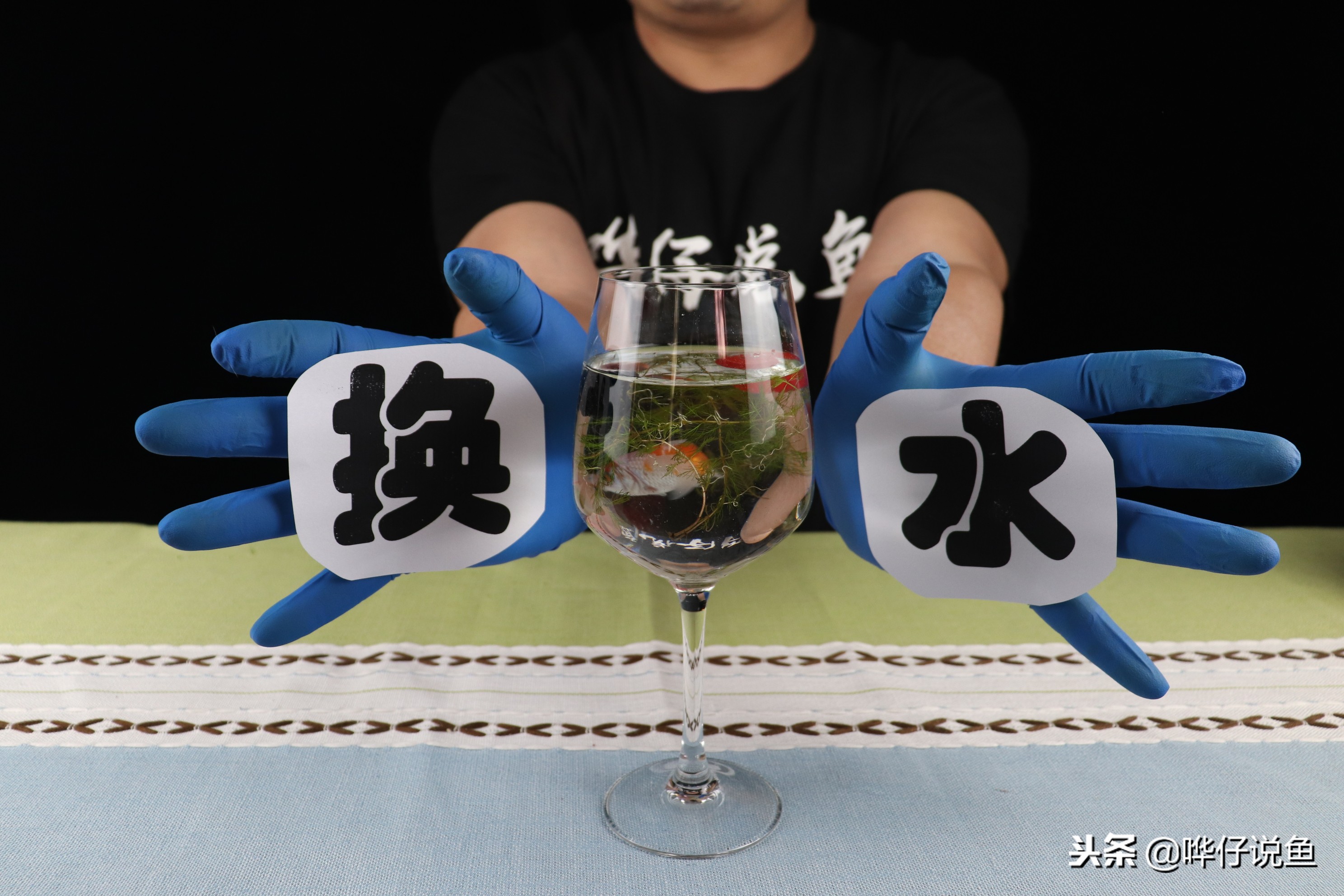 三个月不换水鱼能活吗,几个月不换水的鱼缸不长藻类